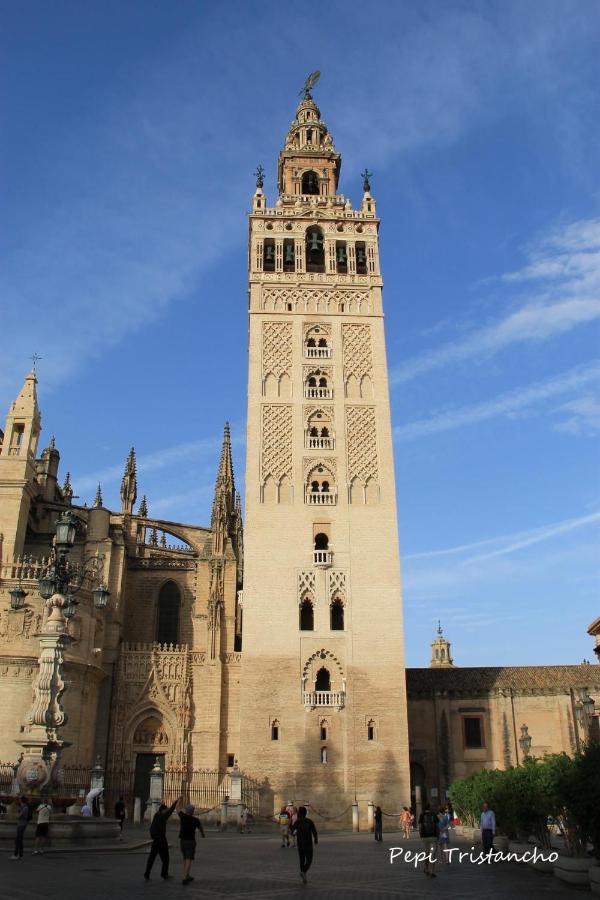 Suites Las Setas & Bicicletas Electricas Gratis Seville Exterior photo